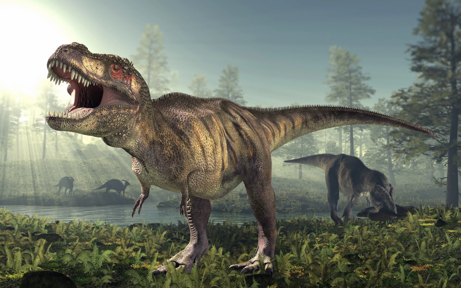 最終値下　T-REX A The T-Rex: A Reigning Champion beyond Extinction | Anchor